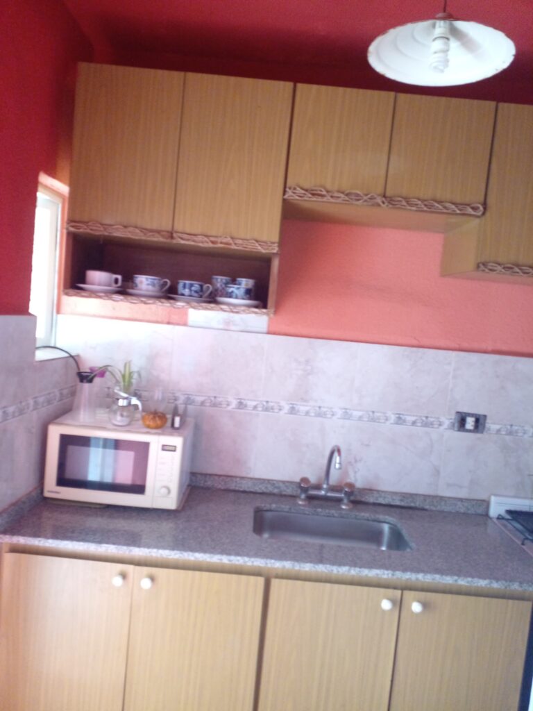 Cocina equipada con espacio de guardado, microondas y mesada amplia.